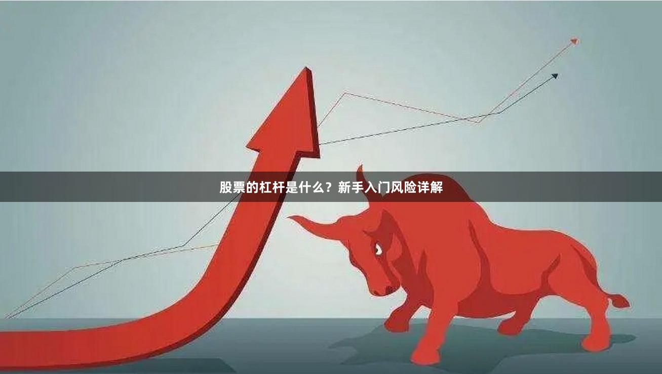 股票的杠杆是什么？新手入门风险详解